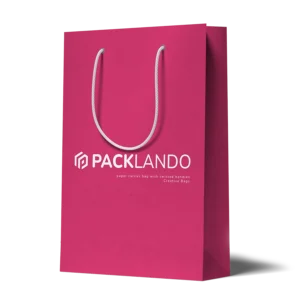 Papiertasche-mit-gedrehtem-Henkel_900x900px